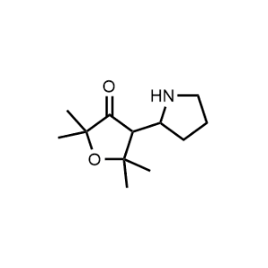 2,2,5,5-Tetramethyl-4-(pyrrolidin-2-yl)dihydrofuran-3(2H)-one|CS-1014713