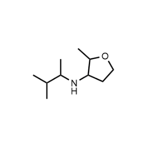 2-Methyl-N-(3-methylbutan-2-yl)tetrahydrofuran-3-amine|CS-1015229