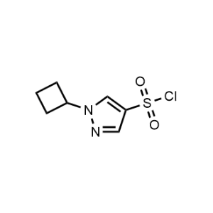 1-Cyclobutyl-1H-pyrazole-4-sulfonyl chloride|CS-1015393