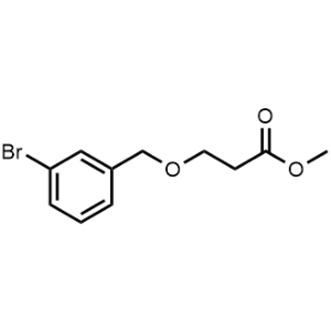 Methyl 3-((3-bromobenzyl)oxy)propanoate|CS-1016046