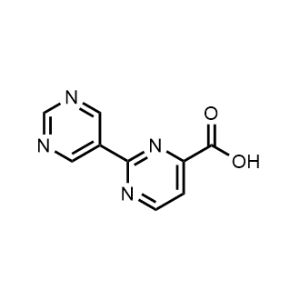 [2,5'-Bipyrimidine]-4-carboxylic acid|CS-1017474