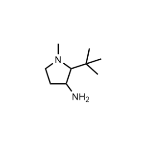 2-(Tert-butyl)-1-methylpyrrolidin-3-amine|CS-1017561