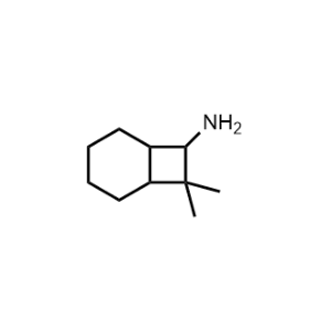 8,8-Dimethylbicyclo[4.2.0]octan-7-amine|CS-1017716