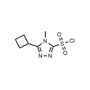 5-Cyclobutyl-4-methyl-4H-1,2,4-triazole-3-sulfonyl chloride|CS-1018702