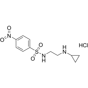 N-(2-(Cyclopropylamino)ethyl)-4-nitrobenzenesulfonamide hydrochloride|CS-1022886