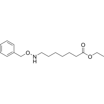 Ethyl 7-((benzyloxy)amino)heptanoate|CS-1023129