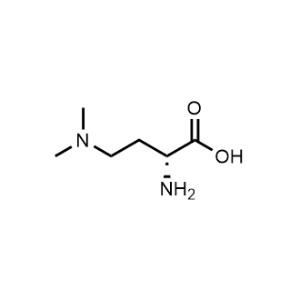 (R)-2-Amino-4-(dimethylamino)butanoic acid|CS-1023469