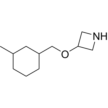 3-((3-Methylcyclohexyl)methoxy)azetidine|CS-1023634