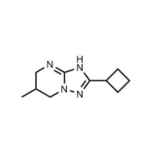 2-Cyclobutyl-6-methyl-3,5,6,7-tetrahydro-[1,2,4]triazolo[1,5-a]pyrimidine|CS-1024149