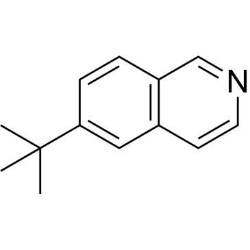 6-(Tert-butyl)isoquinoline|CS-1024338