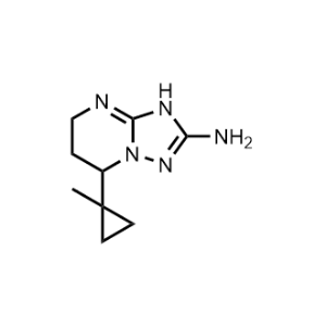 7-(1-Methylcyclopropyl)-3,5,6,7-tetrahydro-[1,2,4]triazolo[1,5-a]pyrimidin-2-amine|CS-1024960