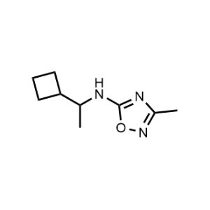 N-(1-Cyclobutylethyl)-3-methyl-1,2,4-oxadiazol-5-amine|CS-1025862