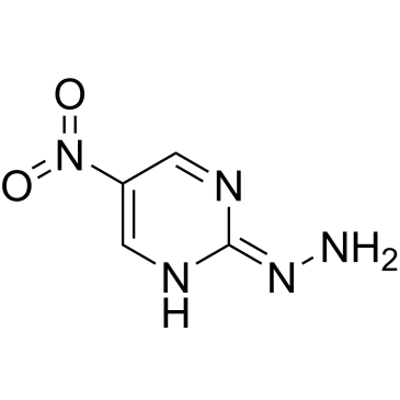 2-Hydrazono-5-nitro-1,2-dihydropyrimidine|CS-1027212