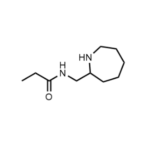 N-(Azepan-2-ylmethyl)propionamide|CS-1027864