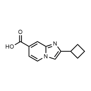 2-Cyclobutylimidazo[1,2-a]pyridine-7-carboxylic acid|CS-1028054