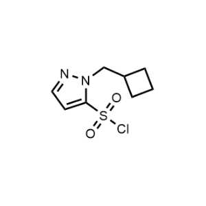 1-(Cyclobutylmethyl)-1H-pyrazole-5-sulfonyl chloride|CS-1028678