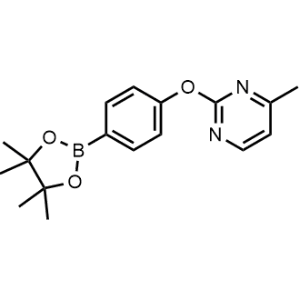 4-Methyl-2-(4-(4,4,5,5-tetramethyl-1,3,2-dioxaborolan-2-yl)phenoxy)pyrimidine|CS-1029252