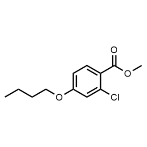 Methyl 4-butoxy-2-chlorobenzoate|CS-1030009