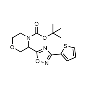 Tert-butyl 3-(3-(thiophen-2-yl)-1,2,4-oxadiazol-5-yl)morpholine-4-carboxylate|CS-1030910