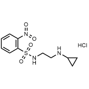 N-(2-(Cyclopropylamino)ethyl)-2-nitrobenzenesulfonamide hydrochloride|CS-1033624