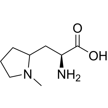 (2S)-2-Amino-3-(1-methylpyrrolidin-2-yl)propanoic acid|CS-1034115