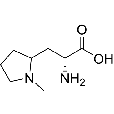 (2R)-2-Amino-3-(1-methylpyrrolidin-2-yl)propanoic acid|CS-1034166