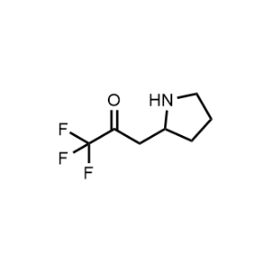 1,1,1-Trifluoro-3-(pyrrolidin-2-yl)propan-2-one|CS-1034216