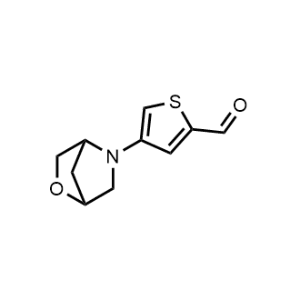 4-(2-Oxa-5-azabicyclo[2.2.1]heptan-5-yl)thiophene-2-carbaldehyde|CS-1034772