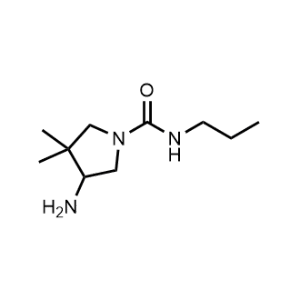 4-Amino-3,3-dimethyl-N-propylpyrrolidine-1-carboxamide|CS-1034922