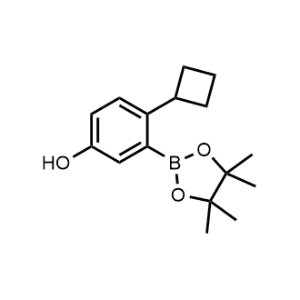 Phenol, 4-cyclobutyl-3-(4,4,5,5-tetramethyl-1,3,2-dioxaborolan-2-yl)-|CS-1038531