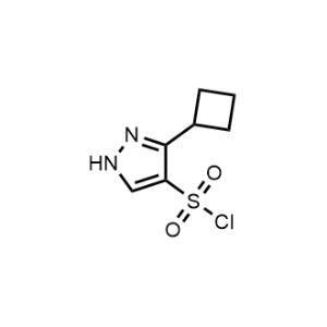 3-Cyclobutyl-1H-pyrazole-4-sulfonyl chloride|CS-1041121