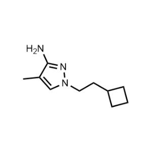 1-(2-Cyclobutylethyl)-4-methyl-1H-pyrazol-3-amine|CS-1042283