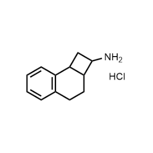 1,2,2a,3,4,8b-hexahydrocyclobuta[a]naphthalen-2-amine hydrochloride|CS-1045689
