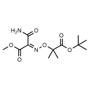 Methyl 3-amino-2-(((1-(tert-butoxy)-2-methyl-1-oxopropan-2-yl)oxy)imino)-3-oxopropanoate|CS-1045869
