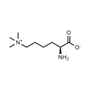 Nε,Nε,Nε-Trimethyllysine inner salt|CS-1047636