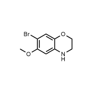 7-Bromo-6-methoxy-3,4-dihydro-2H-benzo[b][1,4]oxazine|CS-1048709