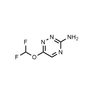 6-(Difluoromethoxy)-1,2,4-triazin-3-amine|CS-1053553