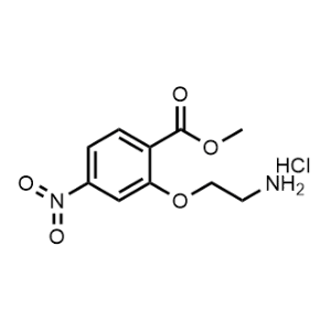 Methyl 2-(2-aminoethoxy)-4-nitrobenzoate hydrochloride|CS-1057244