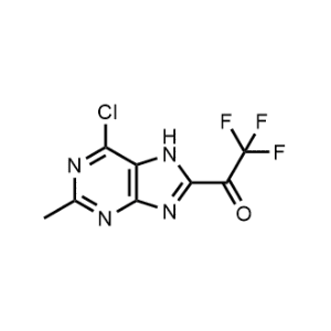 1-(6-Chloro-2-methyl-7H-purin-8-yl)-2,2,2-trifluoroethan-1-one|CS-1062285