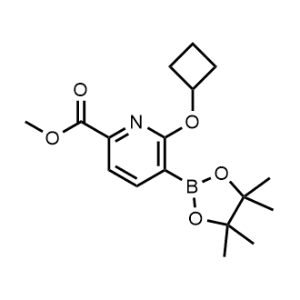 Methyl 6-cyclobutoxy-5-(4,4,5,5-tetramethyl-1,3,2-dioxaborolan-2-yl)picolinate|CS-1062323