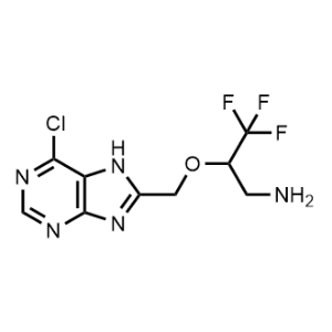 2-((6-Chloro-7H-purin-8-yl)methoxy)-3,3,3-trifluoropropan-1-amine|CS-1063306