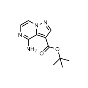 Tert-butyl 4-aminopyrazolo[1,5-a]pyrazine-3-carboxylate|CS-1066168