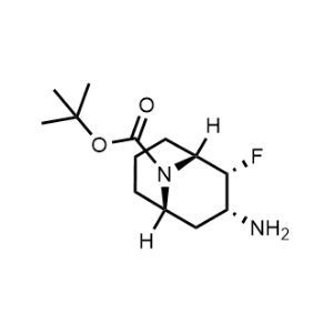 Tert-butyl (1R,2R,3R,5S)-3-amino-2-fluoro-9-azabicyclo[3.3.1]nonane-9-carboxylate|CS-1066272