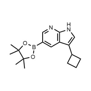 3-Cyclobutyl-5-(4,4,5,5-tetramethyl-1,3,2-dioxaborolan-2-yl)-1H-pyrrolo[2,3-b]pyridine|CS-1066307