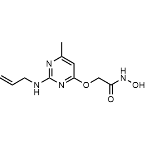 2-((2-(Allylamino)-6-methylpyrimidin-4-yl)oxy)-N-hydroxyacetamide|CS-1066419
