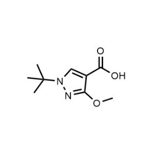 1-(Tert-butyl)-3-methoxy-1H-pyrazole-4-carboxylic acid|CS-1069519
