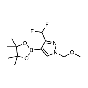 3-(Difluoromethyl)-1-(methoxymethyl)-4-(4,4,5,5-tetramethyl-1,3,2-dioxaborolan-2-yl)-1H-pyrazole|CS-1070893