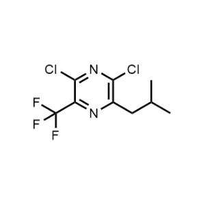 2,6-Dichloro-3-isobutyl-5-(trifluoromethyl)pyrazine|CS-1071269
