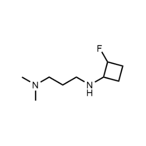 N1-(2-Fluorocyclobutyl)-N3,N3-dimethylpropane-1,3-diamine|CS-1071818