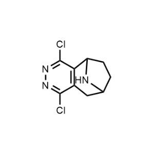 1,4-Dichloro-6,7,8,9-tetrahydro-5H-5,8-epiminocyclohepta[d]pyridazine|CS-1072433